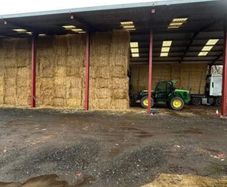 Now Taking orders for 2026 Irish Barley straw