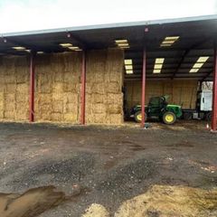 Now Taking orders for 2026 Irish Barley straw