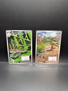 Team Rocket's Spidops 187/182 | Paldean Wooper 102/094 Pokemon Cards
