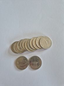 Irish Millennium Punt Coins (13)
