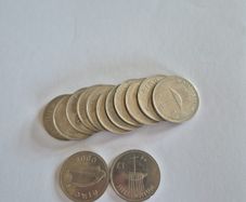 Irish Millennium Punt Coins (13)