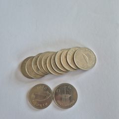 Irish Millennium Punt Coins (13)