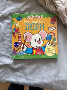 Irish language children's book