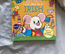 Irish language children's book
