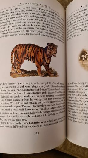 Cider With Rosie By Laurie Lee.   BEAUTIFUL ILLUSTRATED  EDITION 1989. Hardback With Dustjacket In Very Good Condition. Large Volume Book.