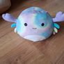 Squishmallow teddys Image 7