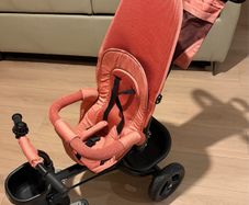 Pink Trike