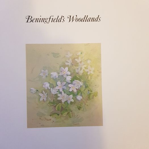 Beningfields Woodlands. Beautiful paintings by Gordan Beningfield of woodland and it birds and animals.