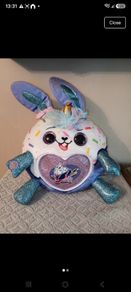 Rsinbocorn teddy