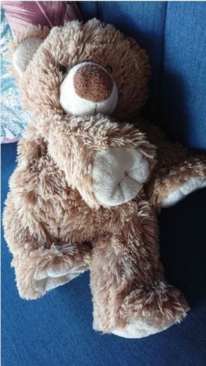 American Bear / Teddy Bear Holder / Soft Teddy Bear