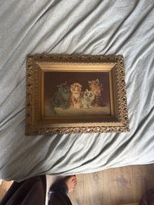picture