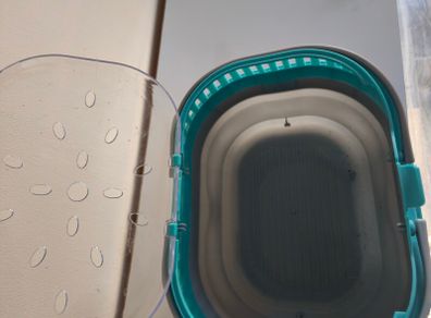 Small pet carrying basket