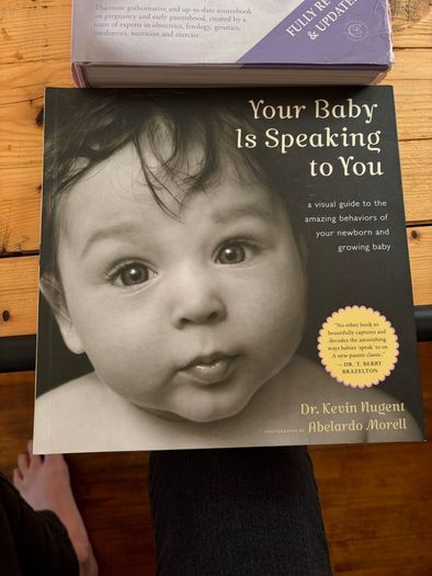 Pregnancy and birthing book bundle