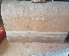 Singer