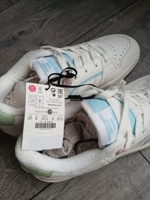 trainers