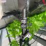 Fiido Electric bike Image 3