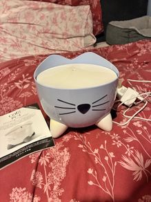 Cat Water Fountain