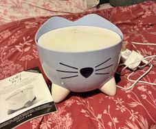 Cat Water Fountain