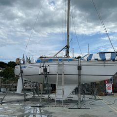 30ft Club Shamrock Yacht