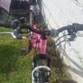 24" Bike Image 8
