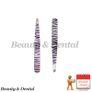 2x Zebra Design Professional Stainless Steel Tweezers Eyebrow Tweezers Eyebrow Clip Image 2