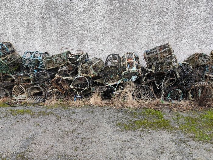 Lobster Pots. 65 or so, as a job lot.