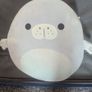 toy Image 2