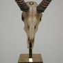 Taxidermy Study of Gazelle With Antlers by Anthony Redmile, London, 1970s. Image 7