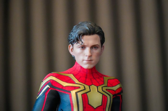 Hot Toys Spider-Man - Integrated Suit - MMS623 - 1/6 Scale
