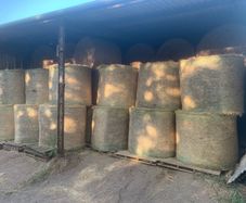 Round bales of hay (No fert, sprays or slurry )
