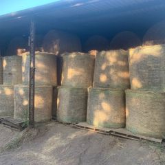 Round bales of hay (No fert, sprays or slurry )