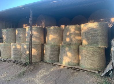 Round bales of hay (No fert, sprays or slurry )