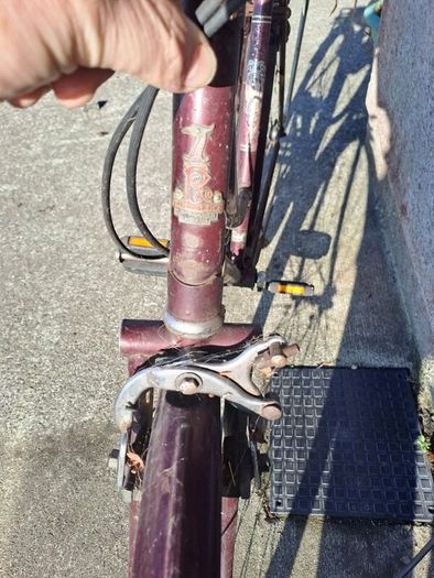 raleigh bike