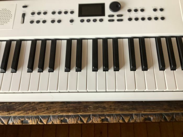 Roland GO:KEYS 5 mint