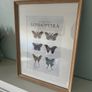 Wall Art Print Image 4