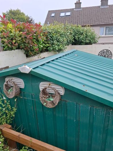 Shed
