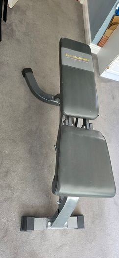 Weight Bench and Squat/ Bench press stands plus weights