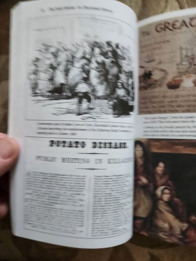 The Irish Famine. An Illustrated History By Helen Litton. First Edition Paperback In Good Condition.