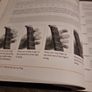 Idiot's Guides: Playing Guitar (Paperback ) Image 5
