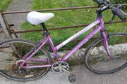 ladies bike