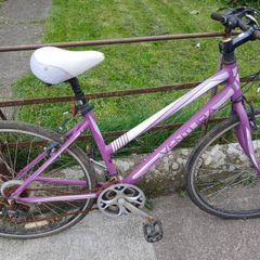 ladies bike