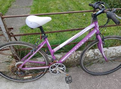 ladies bike