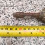 grease gun Image 5