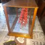 Large Old Ship in a large Glass Case Lovely Display Image 2