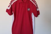 Wales rugby polo shirt size medium ptp 21" in excellent condition