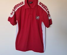 Wales rugby polo shirt size medium ptp 21" in excellent condition
