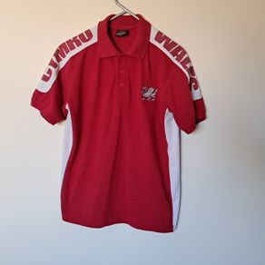 Wales rugby polo shirt size medium ptp 21" in excellent condition