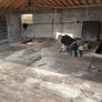 Floor boards and joist Image 2