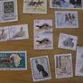South Africa Stamps Image 5