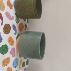 plant pots